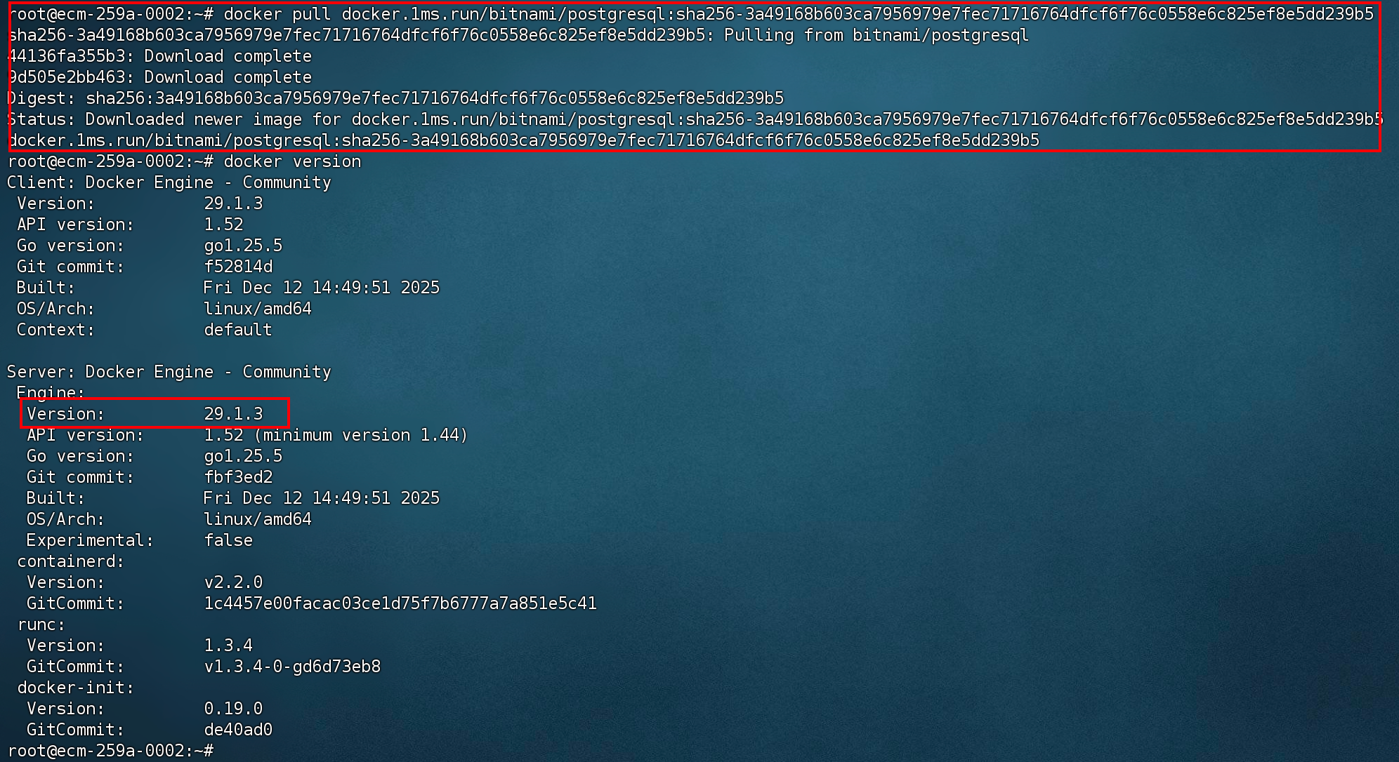 docker 29 拉取成功